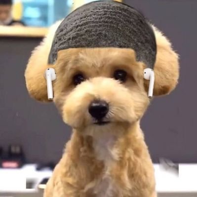 Profile Picture of Seth Thomson ⚪ (@seththomson1) on Twitter