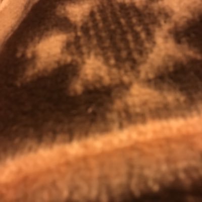 Michael Mardell - Twitter Profile Picture of Michael Mardell (@fake_trum_p) on Twitter