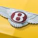 Profile Picture of EMANUEL POPESCU (@platinumrvp) on Pinterest