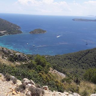 Profile Picture of Nicole Kosel (@Nicole-Kosel) on Facebook