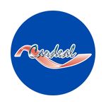 Profile Picture of Colégio Cardeal Arcoverde (@colegiocardealarcoverde) on Instagram