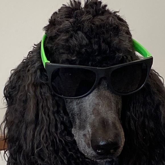 Profile Picture of Ilyssa Tepperman (@auntyliss) on Poshmark