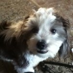 Profile Picture of Michael Bober (@michaelbober) on Instagram