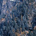 Profile Picture of James_Xander_ (@james_xander_d) on Instagram