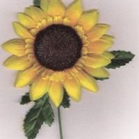 Profile Picture of Janet Isom (@isom1919) on Pinterest