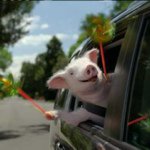 Profile Picture of Todd Bierbaum (@toddbierbaum) on Instagram