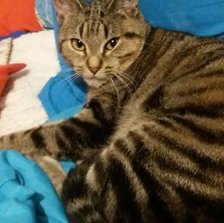 Profile Picture of Beatrice Jordans (@beatrice.jordans.3) on Facebook