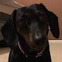 Profile Picture of Robin Jenkins (@@robinjenkins11) on Tiktok