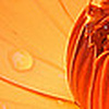 Profile Picture of Lisa Dow (@Dowl4) on Flickr