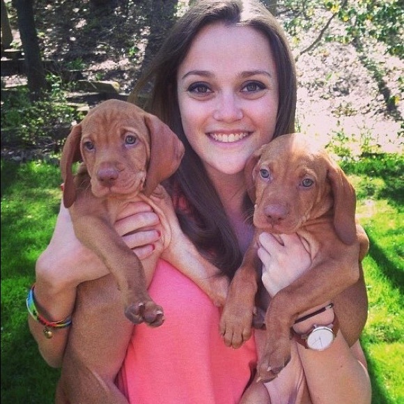 Profile Picture of Taylor Vandell (@tlvandell) on Poshmark