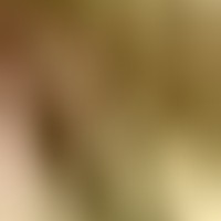 Profile Picture of Sophia Jaramillo (@sophia-jaramillo-6) on Quora