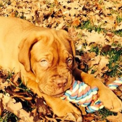 Profile Picture of Jeremy Schwarz (@schwarz_jeremy) on Twitter