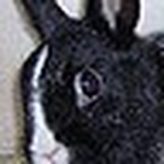 Profile Picture of Eric Thomas (@dreimal3is5) on Flickr