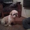 Profile Picture of joandiffee (@@joandiffee) on Tiktok