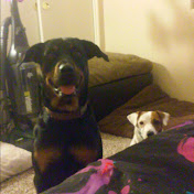 Profile Picture of Jacqueline Andrews (@jacquelineandrews6567) on Youtube