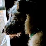 Profile Picture of Jonathan Boesger (@jonathanboesger) on Instagram