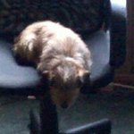 Profile Picture of David Lyden (@davidlyden) on Instagram