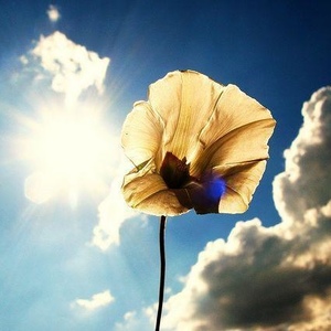 Profile Picture of Aaron Gandarilla (@aaronsuzas) on Myspace