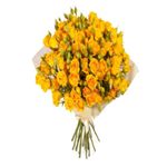 Profile Picture of James Johnson (@yugantsevjywomuwakogysoto) on Instagram