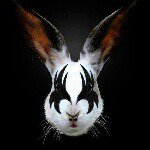 Profile Picture of Heidi Fuchs (@heidi.fuchs) on Instagram