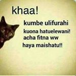 Profile Picture of Raphael Peter (@raphael.peter.332) on Instagram