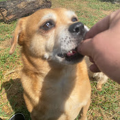 Profile Picture of Nick Murawski (@NickMurawski) on Youtube