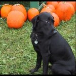 Profile Picture of Jeremy G. Philips (@jgphilips) on Instagram