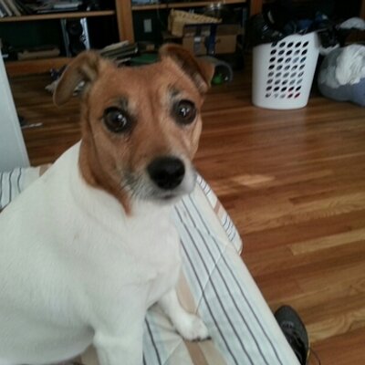 Profile Picture of Kevin T. Conboy (@ktc558) on Twitter