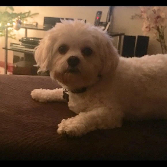 Profile Picture of Peggy Buddenhagen (@peggybudd) on Poshmark