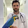 Profile Picture of Drº André Veterinário de Aves (@andreisraelvetdeaves) on Tiktok