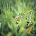 Profile Picture of Ho?ng L? H%u1EA3i Thanh (@Ho?ng L? H%u1EA3i Thanh) on Flickr