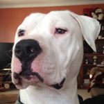 Profile Picture of MichaelJudge (@michael_judge75) on Instagram