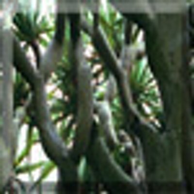 Profile Picture of Robert McClintock (@Inicere) on Twitter