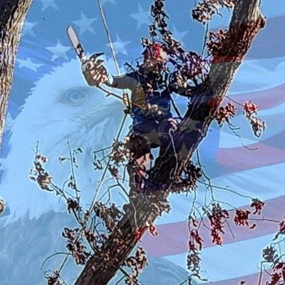 Profile Picture of Chris Foxworth (@ChrisFoxworth9) on Twitter