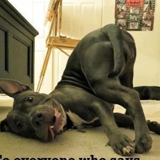 Profile Picture of Tj Manzer (@tj.manzer.9) on Facebook