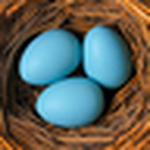 Profile Picture of Daniel B Jordan (@Daniel B Jordan) on Flickr