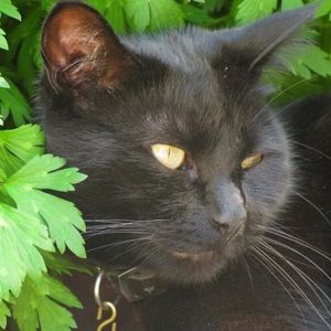 Profile Picture of Hailey Compton (@haileycompton) on Myspace