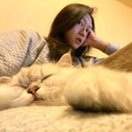 Profile Picture of Johan Lee (@sheep125) on Instagram