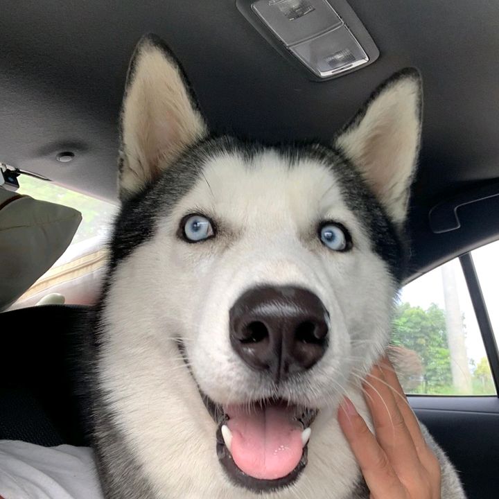 Profile Picture of michael gz (@michael57588) on Tiktok