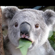 Profile Picture of Sam Barclay (@sambarclay8273) on Youtube