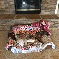 Profile Picture of Melanie Conover (@melanie-conover-3) on Quora