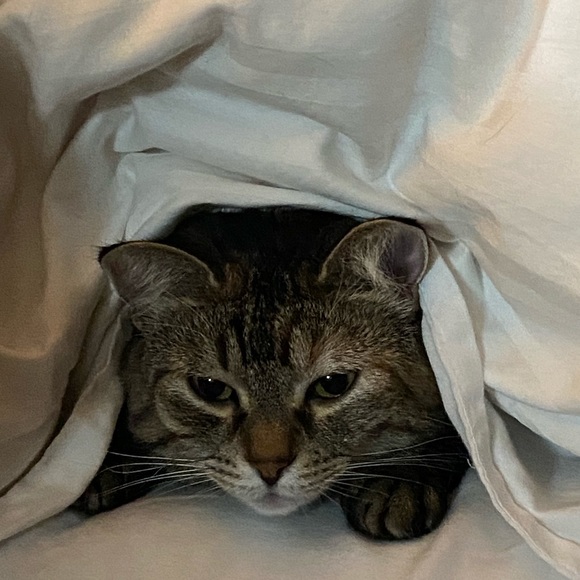 Profile Picture of Anna Kivlen (@annakivlen) on Poshmark