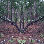 Profile Picture of Tony Vellardita (@tonychaos77) on Instagram