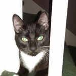 Profile Picture of darryl higgins (@darryl.higgins2016) on Instagram