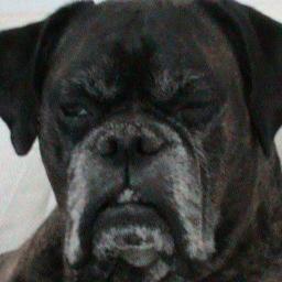 Profile Picture of Barry J Harkins (@barryj88) on Twitter