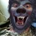 Profile Picture of Todd Roman (@toddroman07) on Pinterest