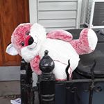 Profile Picture of Cory Williams (@royaltycultstudio) on Instagram