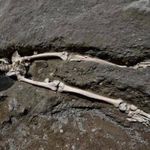 Profile Picture of Zacharias Hawkins (@zachary_wozniak) on Instagram