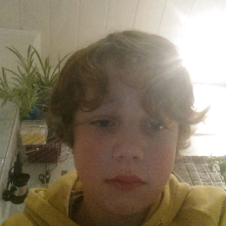 Profile Picture of David Eric Volkmann (@davidericvolkmann) on Tiktok