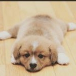 Profile Picture of icyy_gl1 (@billgossett29) on Instagram